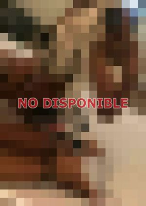 Melina 8299411884, Trans en Distrito Nacional