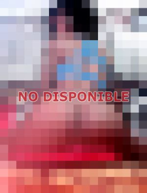 Travesti, Trans en Puerto Plata