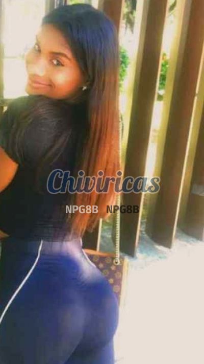 Yamilet 8098411403, Transexual en Santiago