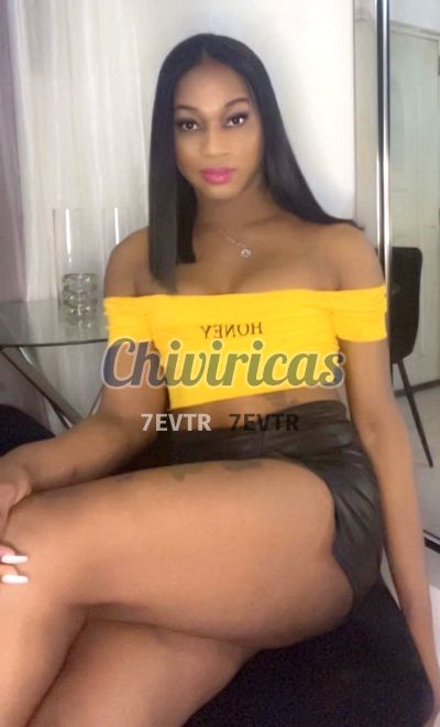 Analia 8295622990, Transexual en Santo Domingo Oeste