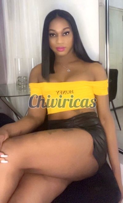 Analia 8295622990, Transexual en Santo Domingo Oeste