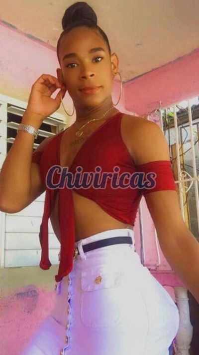 Cristal, Trans en San Pedro De Macorís