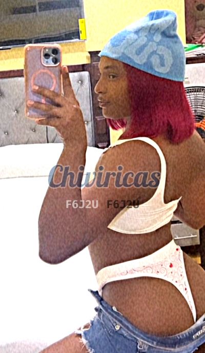 Leudys 8299172791, Transexual en Santo Domingo Norte