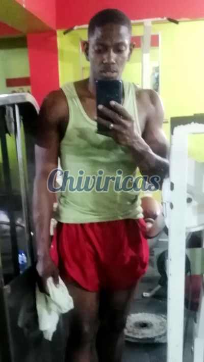 Robin Hood 8295981212, Hombre en Gazcue (Distrito Nacional)
