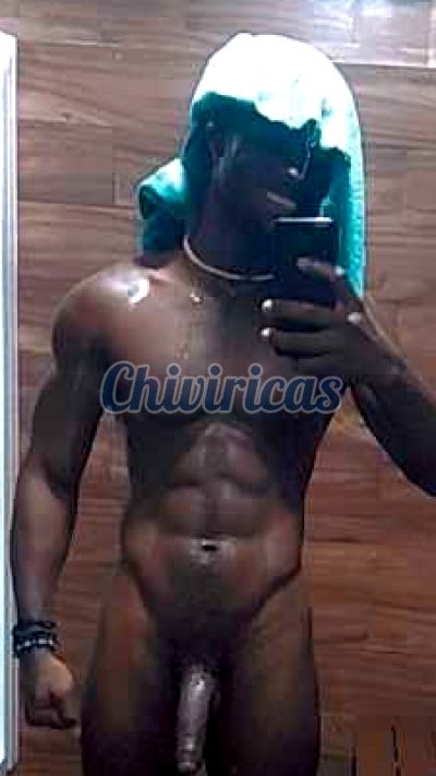 Toyboys 8295148544, Hombre en Punta Cana