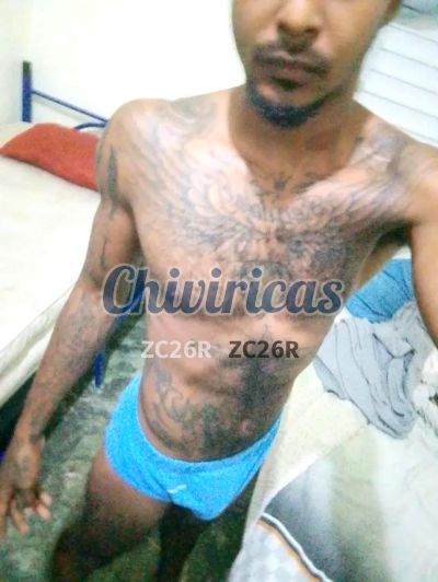 Pollo, hombre en Santo Domingo Norte
