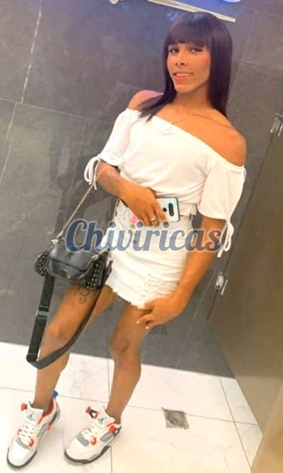 Shantal 8492783553, transexual en Santo Domingo Oeste