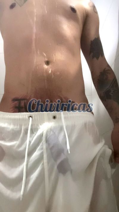 Blanquito 8498658096, hombre en Santo Domingo Oeste